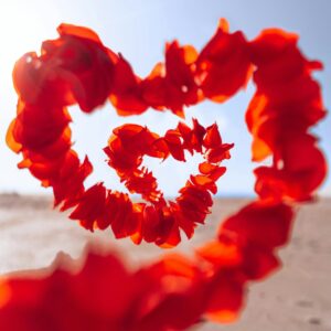 Vivid heart-shaped garland of red petals against a bright desert backdrop.