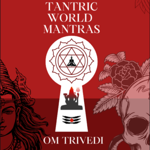 ENTER THE TANTRIC WORLD MANTRAS: तांत्रिक दुनिया में प्रवेश करें मंत्र तंत्र यंत्र (Hindi Edition)