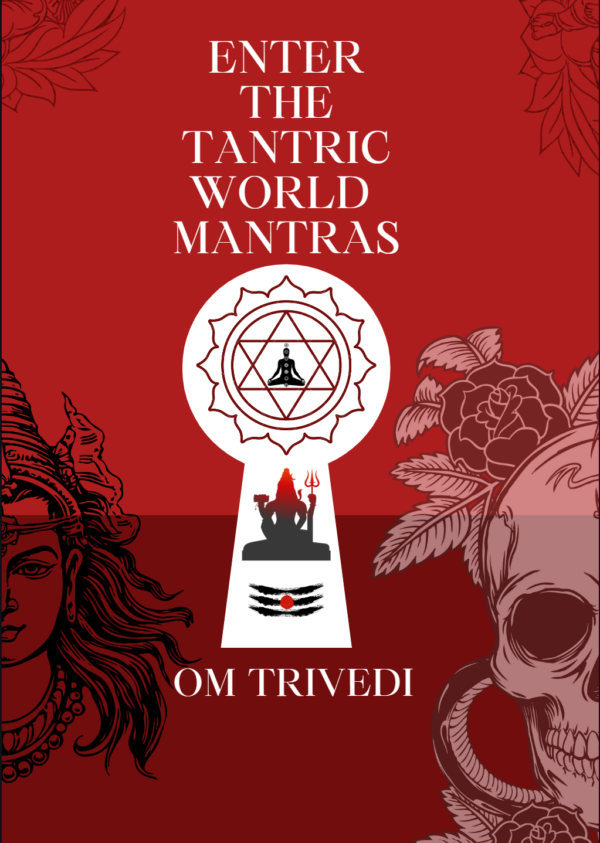 ENTER THE TANTRIC WORLD MANTRAS: तांत्रिक दुनिया में प्रवेश करें मंत्र तंत्र यंत्र (Hindi Edition)